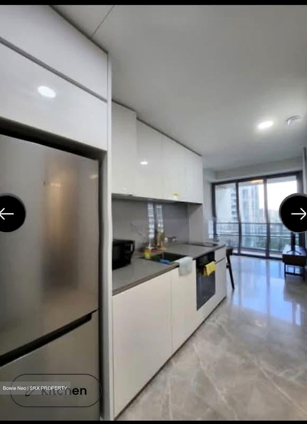 Amber Park (D15), Condominium #600676591
